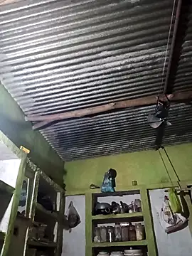 Haliya88 online show from March 19, 4:33 pm