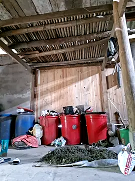 xuxulovezz online show from March 23, 6:19 am