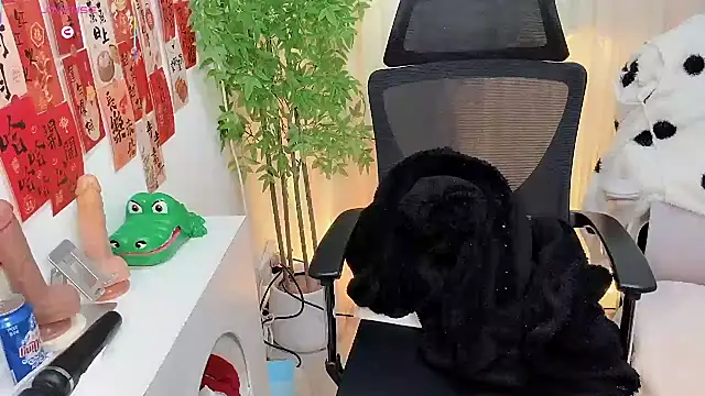 NEWONETO online show from January 14, 10:04 pm