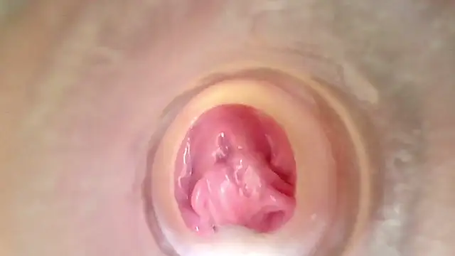 shannon kinne  online show from April 3, 2:37 pm