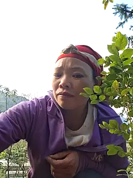 miomio-12 online show from October 22, 8:52 am