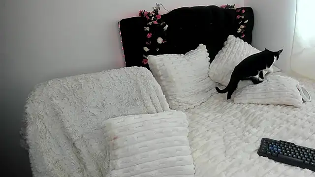 hollycute   online show from February 7, 7:18 pm