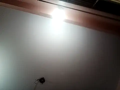 Megla879 online show from October 17, 7:55 am