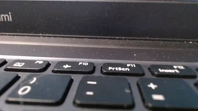 maybe doll online show from October 27, 4:57 pm