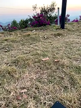 yuki july online show from December 1, 10:08 am