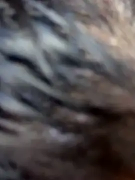 Swweet Miia1 online show from March 1, 3:06 am