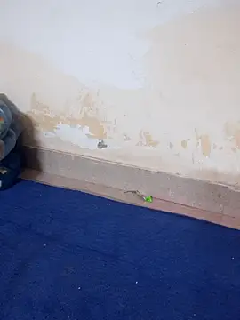 Khushi rani online show from April 8, 6:59 am