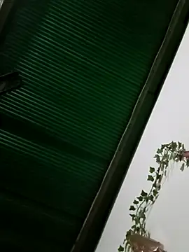 Jessica-03 online show from November 18, 9:38 pm