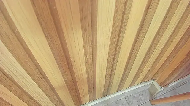 mia  blaze   online show from January 15, 3:01 am