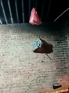 suka-bibi online show from December 22, 11:57 am