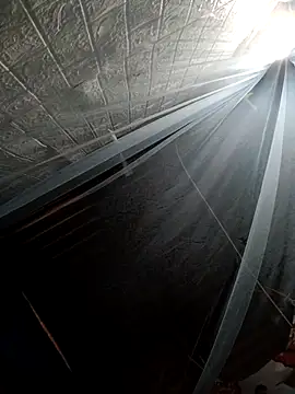 Bear bear0 online show from March 23, 8:31 am