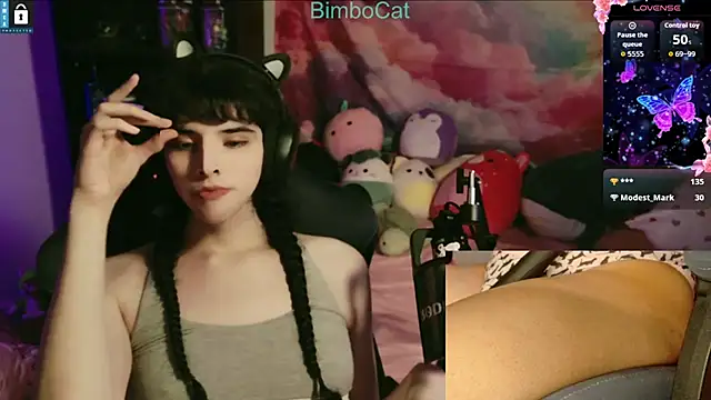 BimboCat online show from November 17, 4:02 am