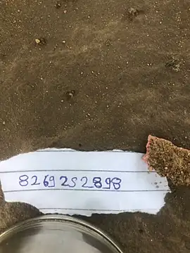 Cute Arushi online show from March 14, 9:10 am