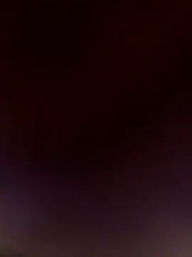 Teddypuer online show from November 4, 10:09 am