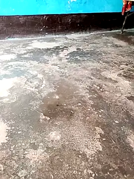 palakshar online show from March 16, 4:15 am