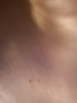 Dulce Ferrer18 online show from January 8, 6:45 pm