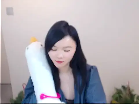 Shaurk online show from January 17, 5:48 am