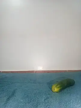 mirna96 online show from December 4, 6:41 pm