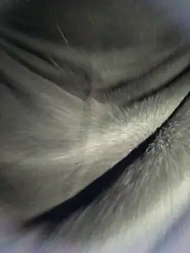 mirna96 online show from February 10, 8:12 pm