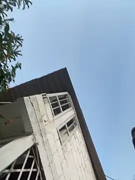 zyrastorm online show from November 30, 10:58 pm