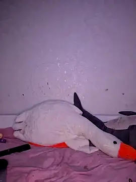 carolinakis  online show from March 4, 6:03 pm