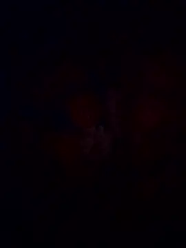 starnighcouple online show from January 15, 6:25 pm