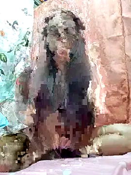 Rexieshaneil online show from December 3, 7:55 am