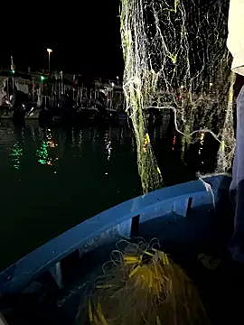 A-ZJunn online show from January 8, 12:53 pm