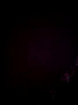 ninasex1995 online show from December 1, 10:56 pm