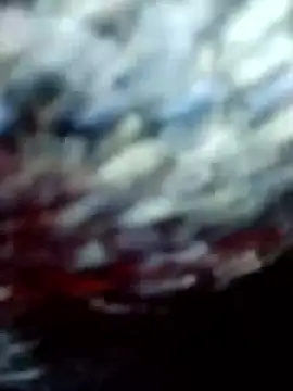 Chayna singh online show from January 8, 12:03 am