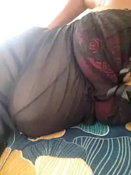 Palkova12 online show from December 15, 5:45 am