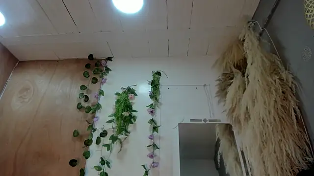 Alice randyy online show from February 10, 1:03 pm