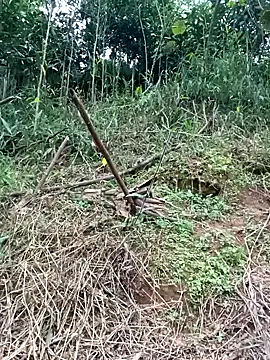 xiaogoal online show from April 1, 9:21 am