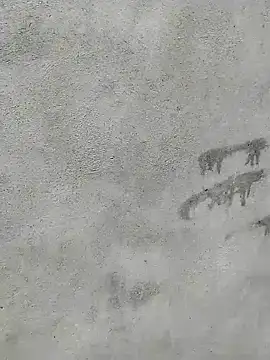 waaini99 online show from February 24, 8:57 am