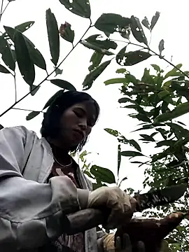 sun-shii online show from January 14, 1:54 am