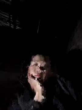 Jooj- online show from February 3, 3:06 pm