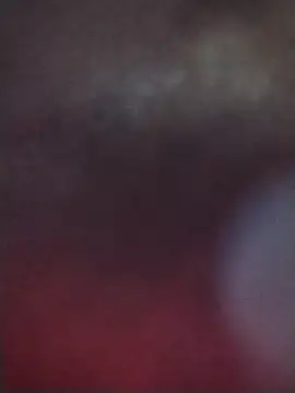 JULIETA 21- online show from February 25, 12:26 pm