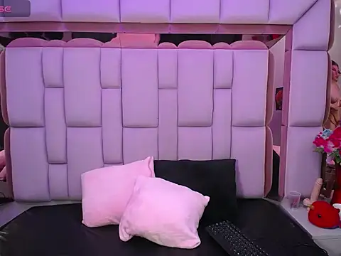 Snapshot of _sailethh chatting on February 14, 3:08 am sailethh online show from February 14, 3:08 am