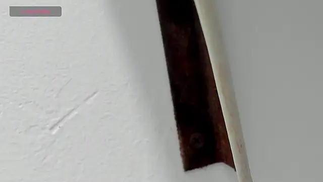 Criistal castro online show from April 6, 11:33 am