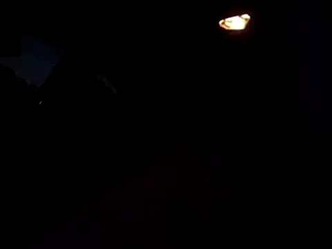 dustbunny64 online show from July 5, 3:57 am