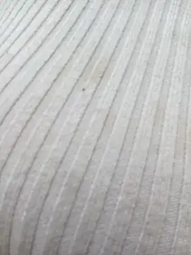 chaoanh11 online show from February 15, 9:08 am