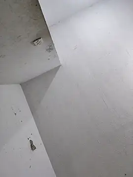 luna29 online show from July 31, 3:24 pm