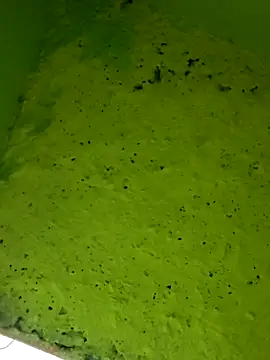 Cute aroshi online show from April 5, 4:39 pm