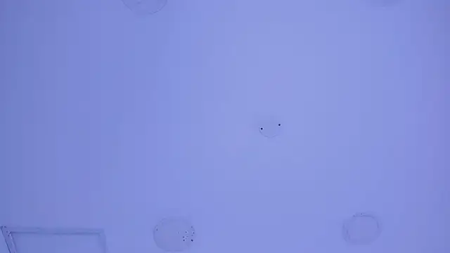 FoxxxyPink online show from March 13, 8:43 pm