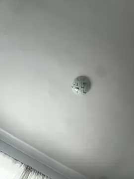 SweetCurvess online show from May 19, 7:59 am