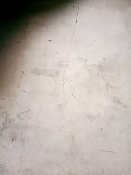 Vily-lonely online show from May 6, 12:31 pm
