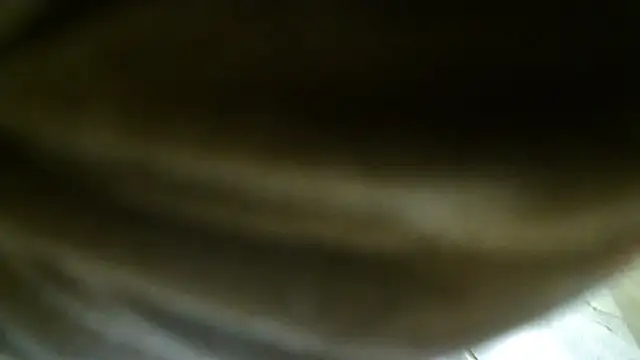 mrhotnotmiss online show from March 30, 11:43 am