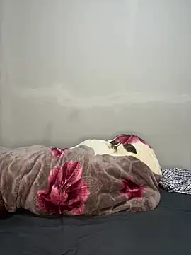 petite bee online show from July 17, 2:38 am