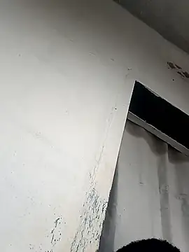 black appl online show from April 22, 10:56 am