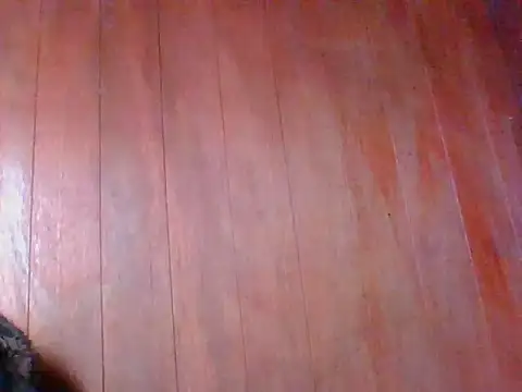 Annisof online show from April 25, 1:41 pm